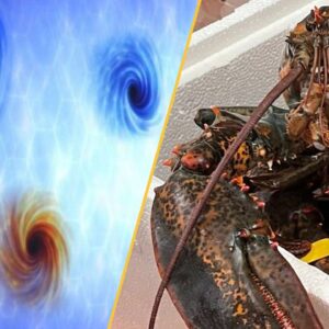 Science news this week: Physicists witness faster-than-light darkness pinpricks, humans are still evolving, and some polar bears are getting fatter than ever