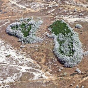 Florida is facing its most intense drought in 15 years. Here’s how it got so bad and how long it will last.