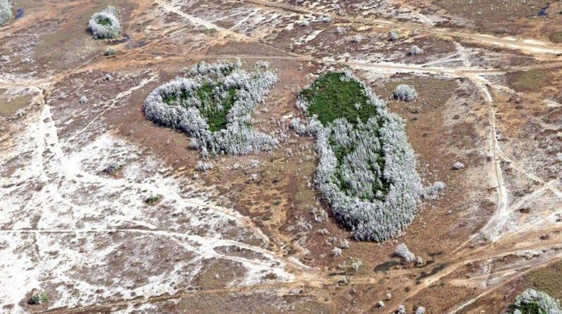 Florida is facing its most intense drought in 15 years. Here’s how it got so bad and how long it will last.