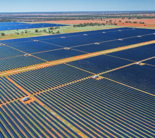 Global growth in solar “the largest ever observed for any source”