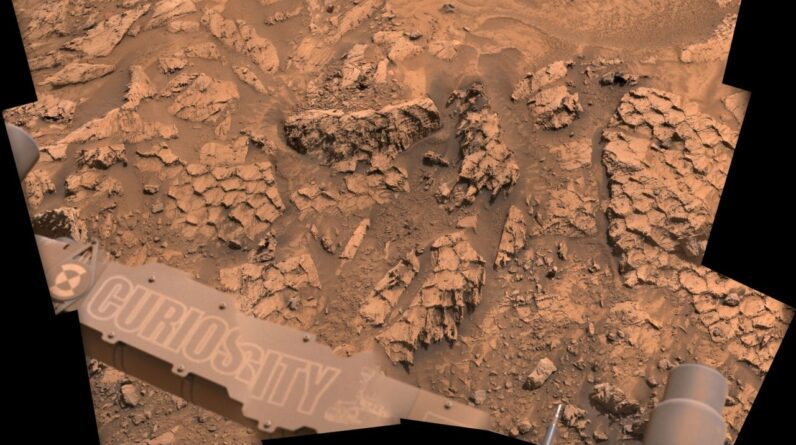 NASA’s Curiosity rover finds a surprising number of giant ‘dragon scales’ littered across Mars