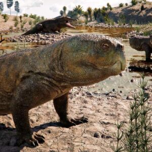 New Fossil from Brazil Reveals Unexpected Diversity among Pre-Dinosaur Herbivores