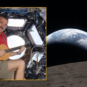 ‘Strong, undeniable public examples of something positive’: Astronaut Chris Hadfield on why Artemis II hit him hard, and why we need to send a guitar to the moon