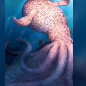 ‘Kraken’ octopus that lived at the time of the dinosaurs was a 62-foot-long apex predator of the ocean