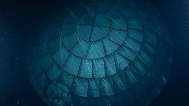 Artemis II heat shield aced its blistering reentry, ghostly underwater photo reveals