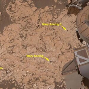 NASA rover uncovers rock with 7 new organic molecules on Mars — the ‘most diverse collection’ ever seen