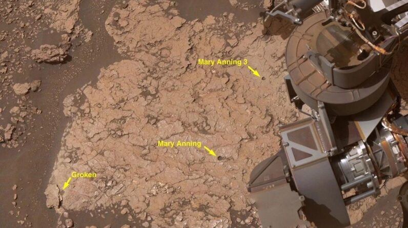 NASA rover uncovers rock with 7 new organic molecules on Mars — the ‘most diverse collection’ ever seen