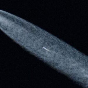 Used SpaceX rocket could crash into the moon’s Einstein crater this summer, report predicts