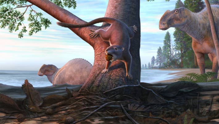 Omnivorous, Rodent-Like Mammal Lived in Dinosaurs’ Shadow on Pacific Coast