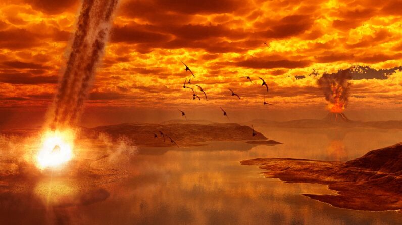‘Their greatest challenge since they stared down the asteroid’: Paleontologist Steve Brusatte on why birds are facing their biggest existential threat since the dino-killing asteroid