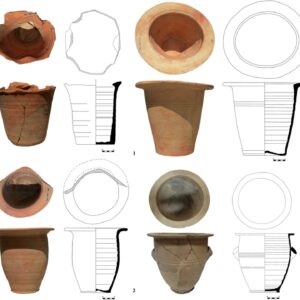 Poop-encrusted chamber pots from the Roman Empire reveal oldest known human cases of Crypto parasite