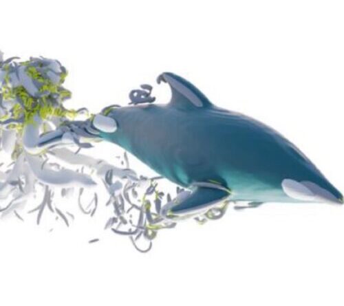 Research roundup: 6 cool science stories we almost missed