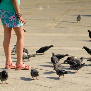 City birds appear to like men more than women, but experts have no idea why
