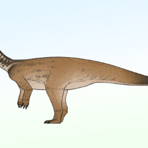 Early Sauropodomorph Dinosaur Unearthed in China
