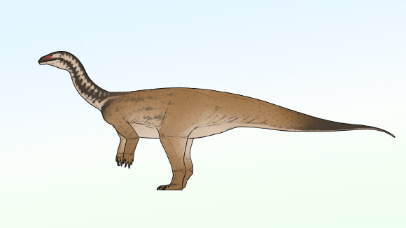 Early Sauropodomorph Dinosaur Unearthed in China
