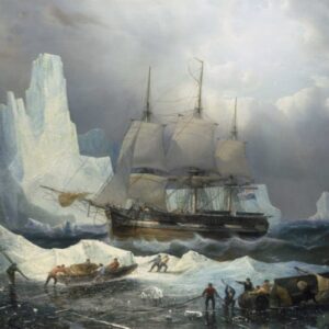 DNA identifies four more crew members of doomed Franklin expedition