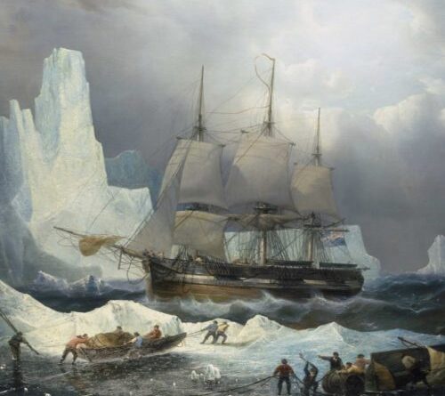 DNA identifies four more crew members of doomed Franklin expedition
