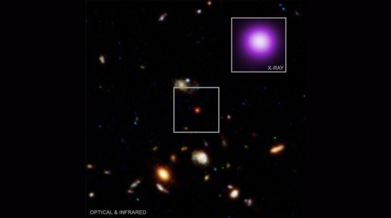 James Webb telescope zooms in on a black hole that could reveal the truth about ‘little red dots’