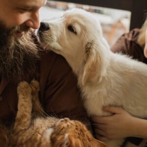 Are we more closely related to cats or dogs?