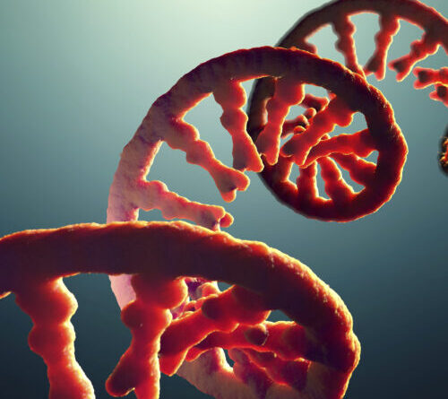 Do you take after your dad’s RNA?