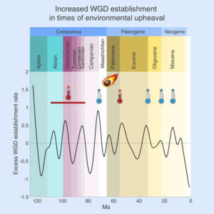 Duplicated Genomes Helped Flowering Plants Survive End-Cretaceous Mass Extinction