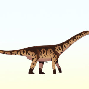 New Species of Giant Long-Necked Dinosaur Identified in Argentina