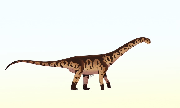 New Species of Giant Long-Necked Dinosaur Identified in Argentina