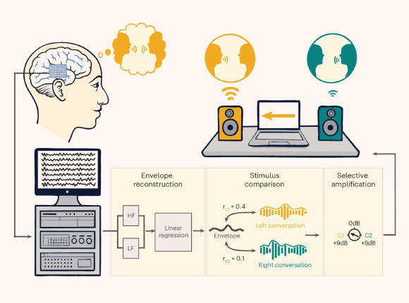 Scientists Build ‘Mind-Reading’ Hearing System for Noisy Environments
