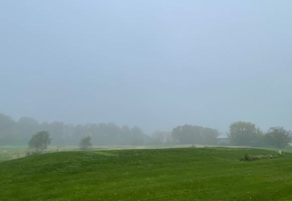Tiny Bacteria in the Fog May Be Helping Clean the Air