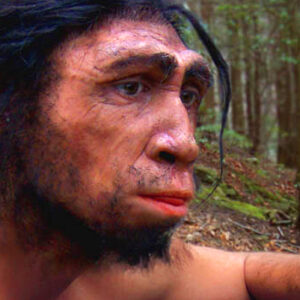 Homo erectus May Have Co-Existed with Denisovans in East Asia