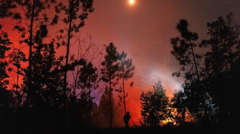 ‘The biggest El Niño event since the 1870s’: ‘Super’ El Niño is now the most likely scenario by the end of this year ‪—‬ and the humanitarian cost could be huge