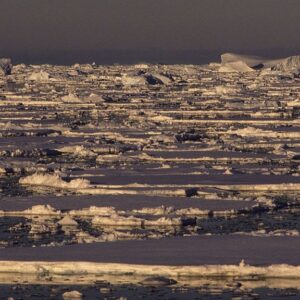 Antarctica’s sudden sea ice loss is one of the most extreme and confusing events in the modern climate record. Scientists now know why it’s happening.