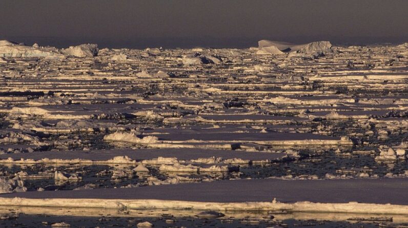 Antarctica’s sudden sea ice loss is one of the most extreme and confusing events in the modern climate record. Scientists now know why it’s happening.