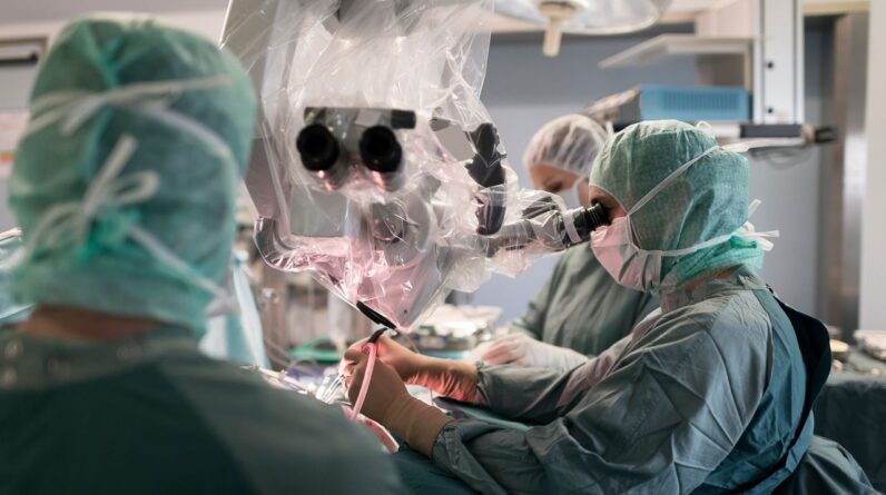 Why aren’t brain transplants possible?