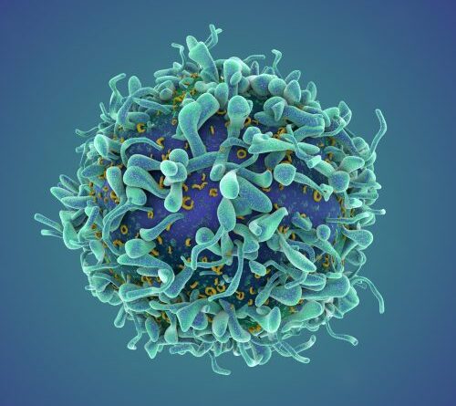 A revolutionary cancer treatment could transform autoimmune disease