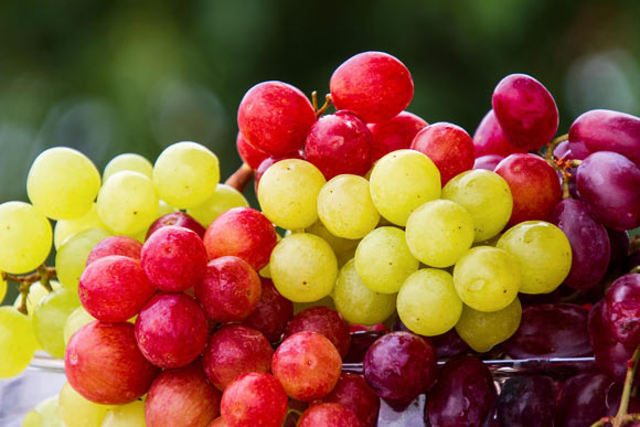 Regular Grape Consumption is Beneficial for Skin Health, New Study Shows