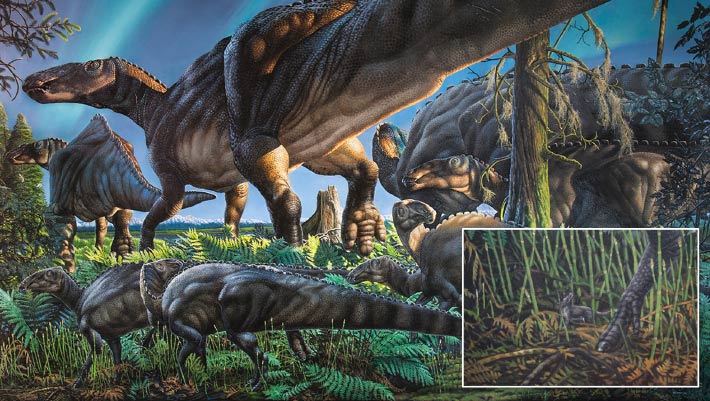 Before Dinosaur Extinction, Rodent-Like Mammals were Already Flourishing in Ancient Arctic