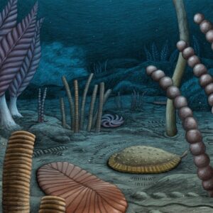 Complex animals evolved up to 10 million years earlier than previously thought, fossil discovery shows