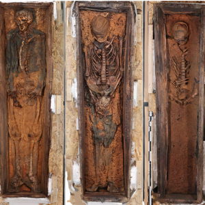 Scurvy-plagued whalers’ remains discovered at ‘Corpse Point’ in Svalbard