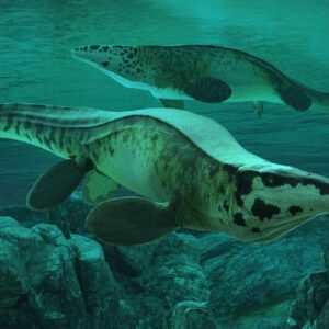 ‘T. rex’ Mosasaur Ruled the Seas 80 Million Years Ago