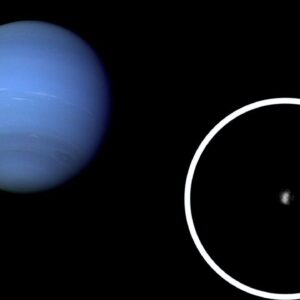 One of Neptune’s 16 moons is not like the others, James Webb telescope finds — and it could be key to fully understanding the solar system