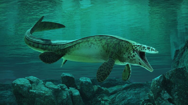 There’s a new T. rex from the dinosaur age — and it ruled the seas with a skull-crushing bite