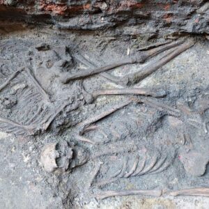 800-year-old ‘hugging skeletons’ are genetically confirmed as Poland’s only medieval same-sex double burial