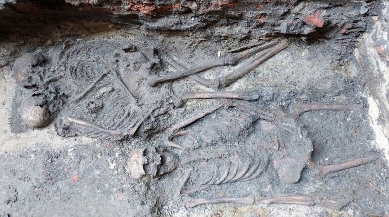 800-year-old ‘hugging skeletons’ are genetically confirmed as Poland’s only medieval same-sex double burial