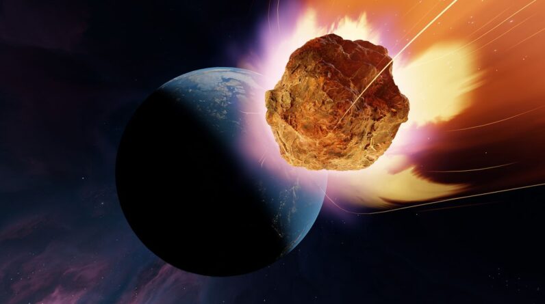 How did animals survive the asteroid that killed the dinosaurs?