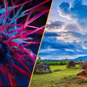 Science news this week: Laotian ‘death jar’, climate change threatens rice crops, and an asthma drug treats tough cancer