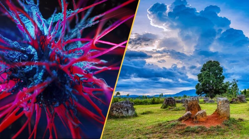 Science news this week: Laotian ‘death jar’, climate change threatens rice crops, and an asthma drug treats tough cancer