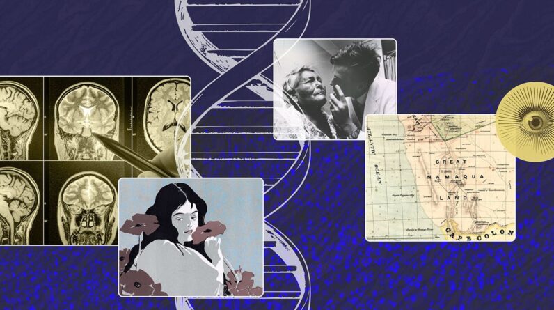Rare genetic disease makes scientists reconsider what the ‘seat of fear’ in the brain really is