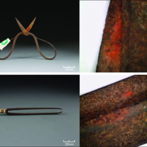 Toxic plant on Ming dynasty-era surgical tools may be world’s oldest chemical evidence of topical anesthetic