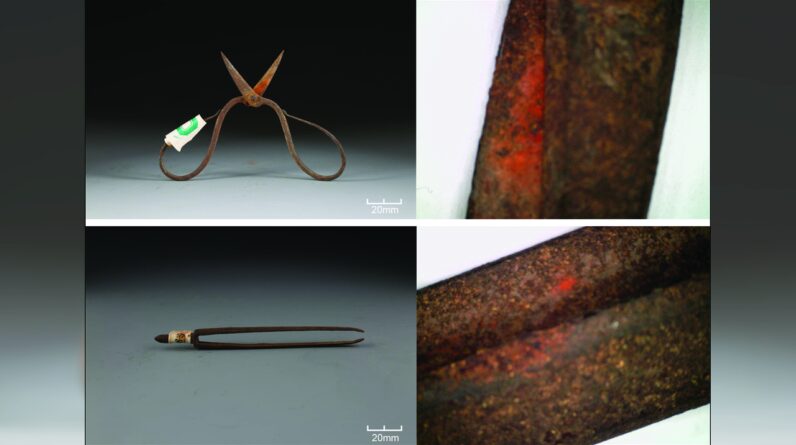 Toxic plant on Ming dynasty-era surgical tools may be world’s oldest chemical evidence of topical anesthetic